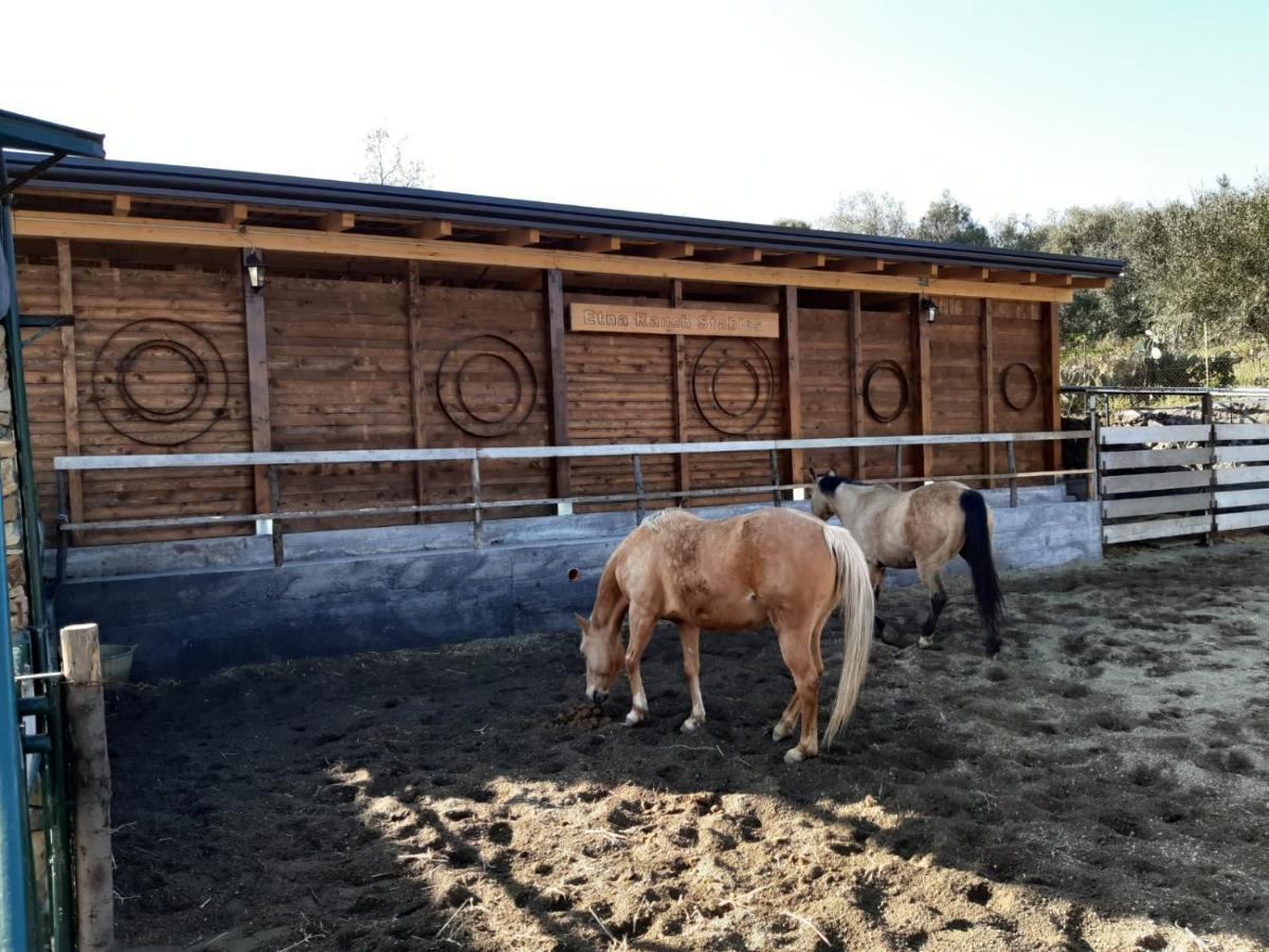 B&B Etna Ranch 피에디몬테 에트네오 외부 사진